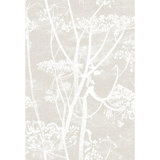 Cow Parsley Floral Wallpaper Roll