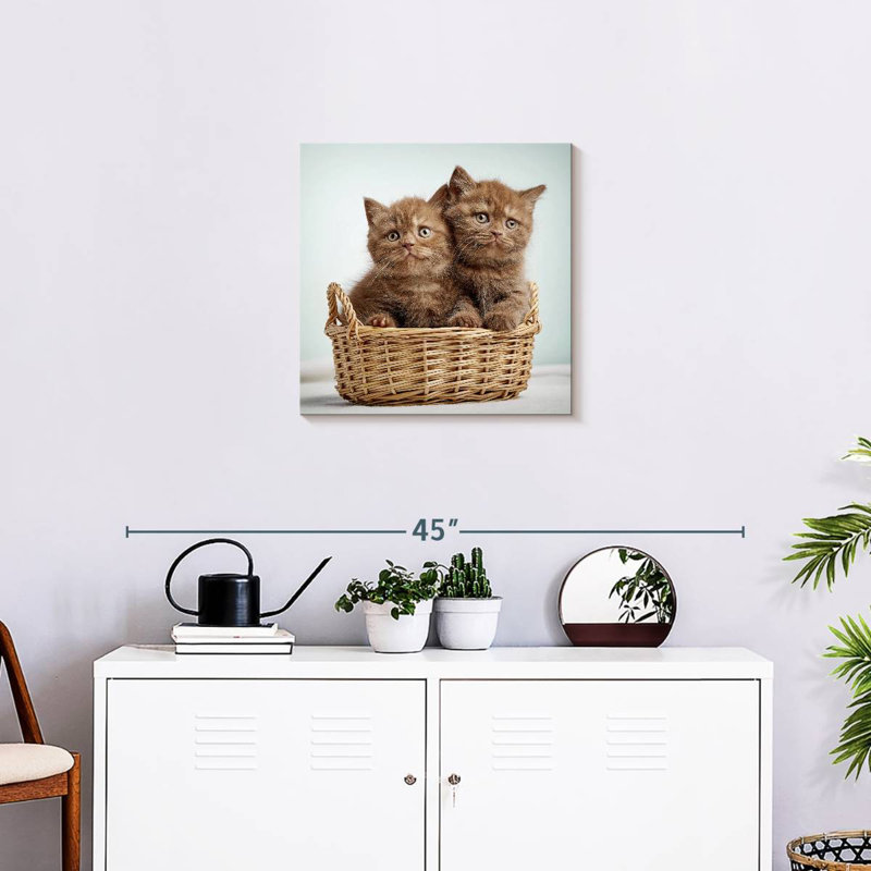 Crowle Basket Of Cats, 20" H x 20" W