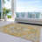 Machine Washable Indoor/Outdoor Chayden ACN1036 Rug-2117698167