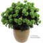 Pot artificiel Mum-195248835