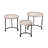 Acheson Tray Top Nesting Tables-55658641