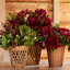 Wicker Table Vase