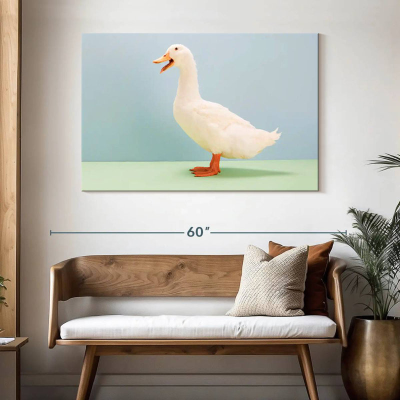 Canard blanc, H 32 po x l 48 po