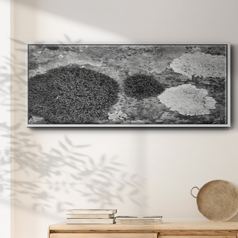 Found Textures XIX- Framed Canvas