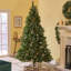 Arbres de noël