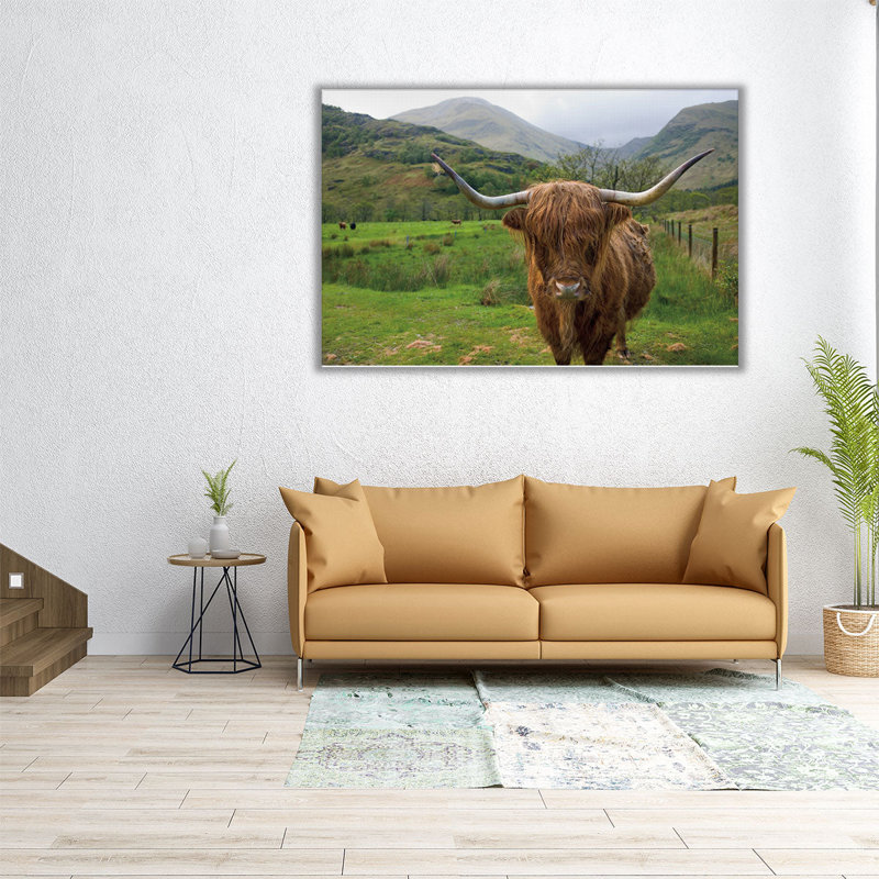«Scottish Highland C Best», reproduction d'art sur toile, H 40 po x l 60 po