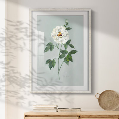 Zephyrine -Gallery Wrapped Canvas