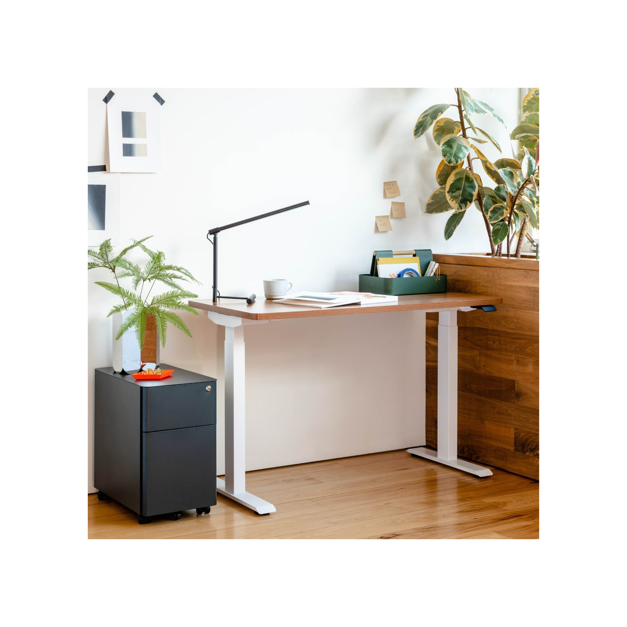 Duo Standing Desk, 47.3" H x 48" W x 24" D, Walnut, White