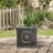 Hillevi Planter-1661493425-1661493420