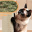 Arbre à chat 42 po à plusieurs niveaux-1635149975