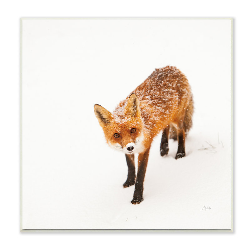 « red fox winter snow animal », impression, Plaque murale, H 12 po x l 12 po x P 0,5 po