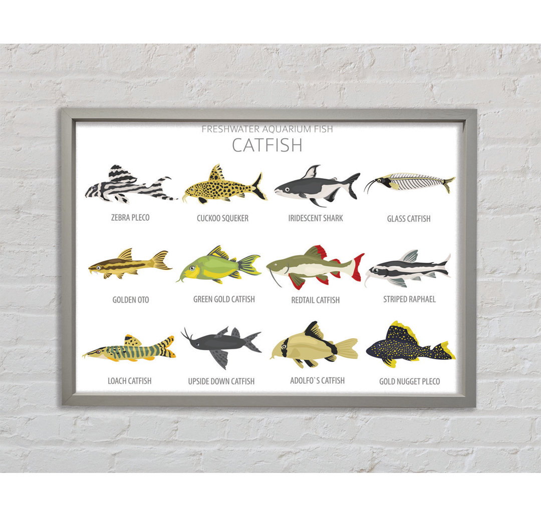 Leinwandbild Catfish Chart