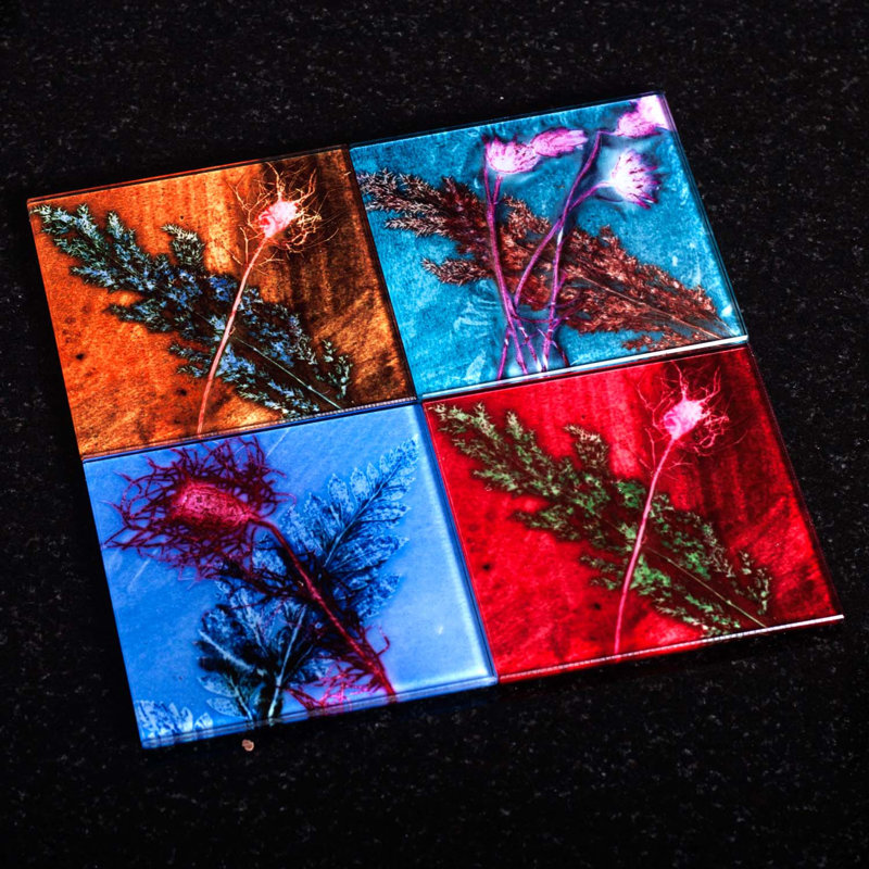Glass Square 1 Piece Coaster, Festive