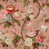 French Rose selected