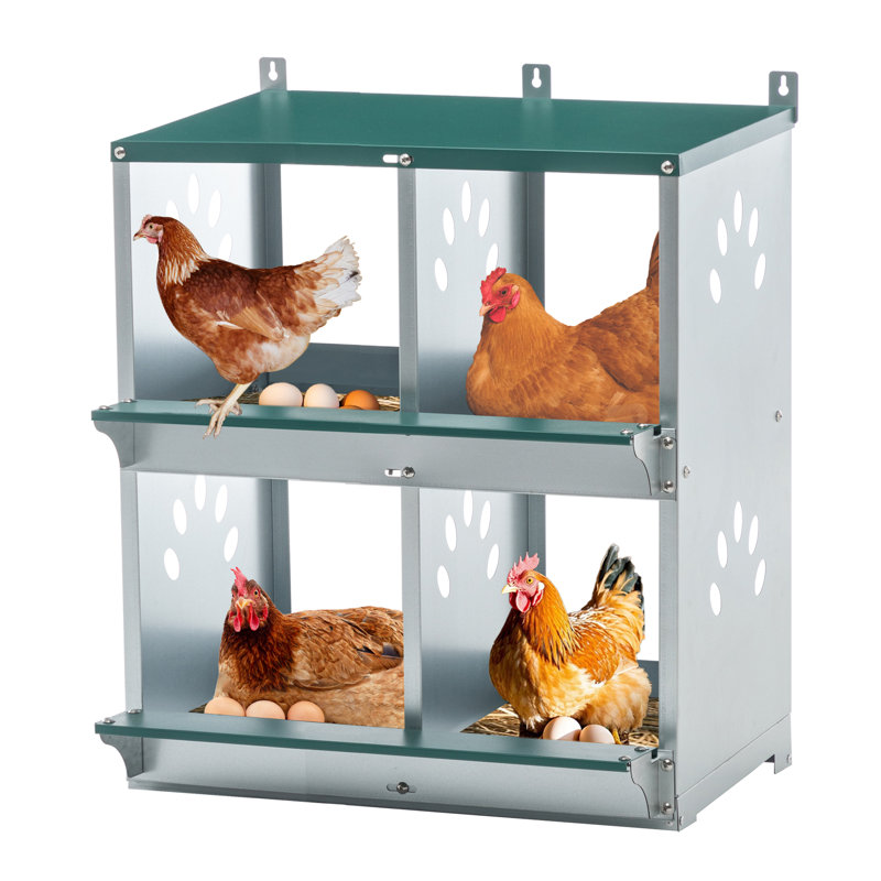 Boîtes de nidification de poulet à 4 compartiments, boîtes de nidification murales en métal pour différentes races