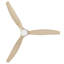 Ventilateur de plafond avec lumières DEL Brocken-88410786-88410787