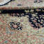 Oriental Area Rug in Navy