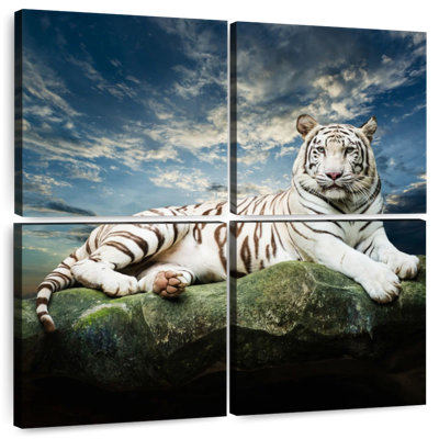 Tigre blanc Brampt