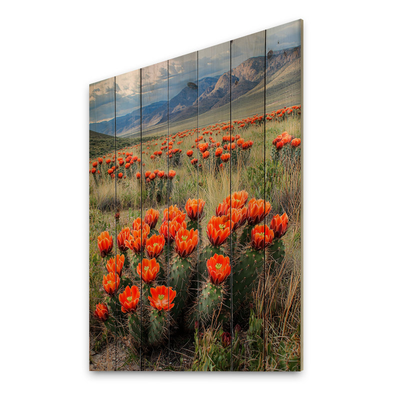 «Blooming Cacti Desert At Sunset I», impression de cactus floral sur bois de pin naturel, H 32 po x l 24 po x P 0,78 po