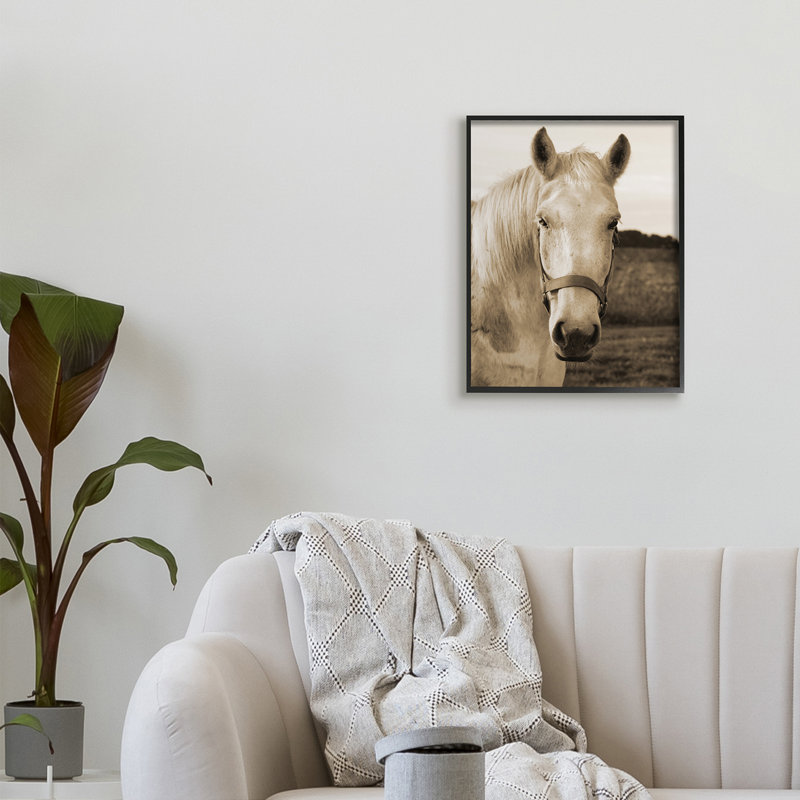 Portrait rustique de cheval blanc sépia par Suzanne Foschino - photographie, H 20 po x l 16 po, Giclée encadrée noir minuit