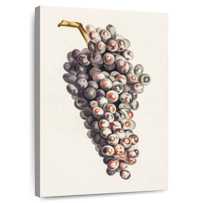 A Bunch Of Grapes