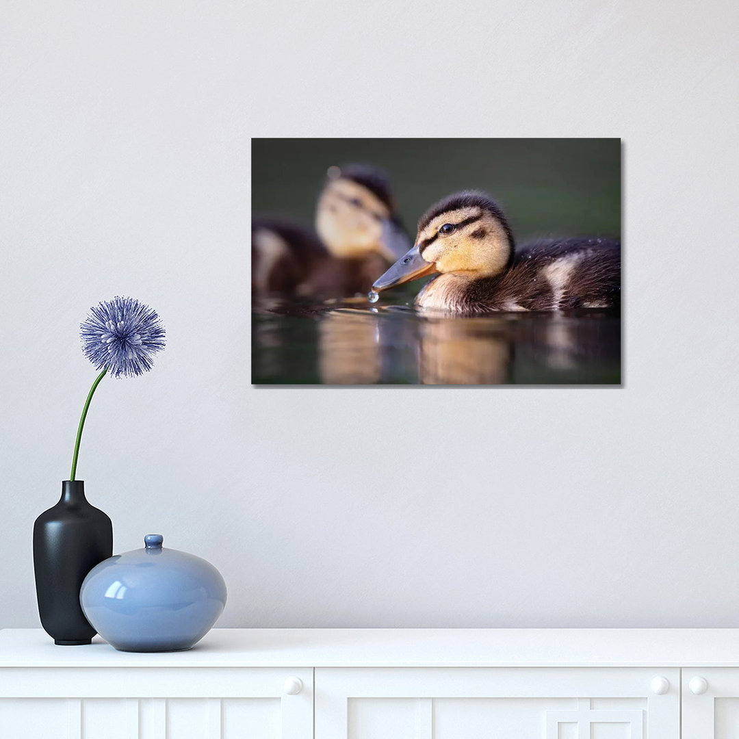 Droplet by Mateusz Piesiak - Wrapped Canvas Print