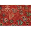 Tapis oriental à motif végétal à teinture végétale 8 x 11
