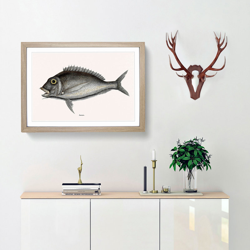 Porgy Fish by Mark Catesby - Picture Frame Painting Print, Oak, 40cm H x 60cm W x 2cm D