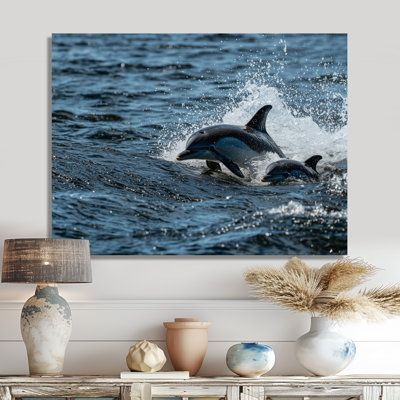 Dolphin Nautical Scene In Summer III - Animals Metal Decor, Dolphin Metal Print