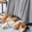 Veyo Throw Blanket-838665377-838665391