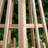 Nikitah Cedar Pyramid Trellis. 72"H