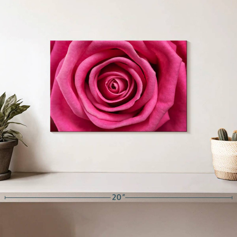 Rose chaud Harnek, H 8 po x l 12 po
