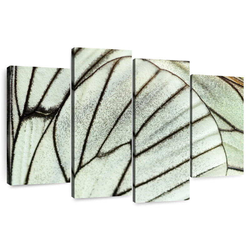 Ailes de papillon simples Brampt, H 32 po x l 52 po