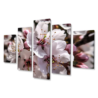 Blossoming Cherry Flowers In Spring II - Cherry Blossom Wall Art Print - 5 Panels