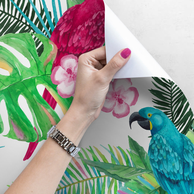Knizair Matte Mural, 208 x 146cm