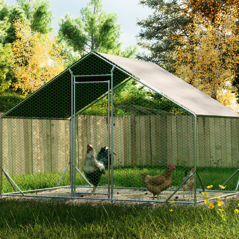 Poulailler en métal - grillage galvanisé avec couvercle imperméable et pour lapins, poules en cage de 10 pi x l 6,6 pi x H 6,56 pi