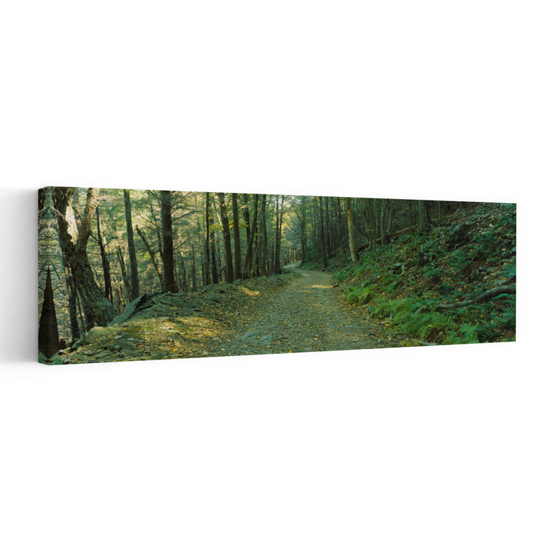 Trees In A National Park Shenandoah National Park Virginia USA 1 Piece Wrapped Canvas Panoramic Wall Art