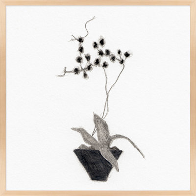 Orchid Study 2 Print by Simon Schneiderman