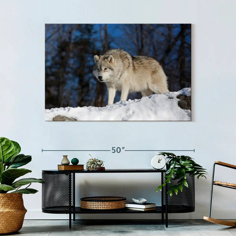 Brampt Wolf On The Lookout, 32" H x 48" W