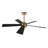 5 Blades Indoor Ceiling Fan Dimmable LED Light Kit And Remote , 6-Speed Noiseless Reversible DC Motor-2069691782-2054405702