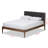 Chasitie Upholstered Platform Bed-212178042-212178043