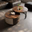 Combinaison simple de table basse ronde-109703230-109703231