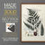 Collection de fougères VI - reproduction encadrée de qualité supérieure - prête à être accrochée - aucun clou requis - aucun clou requis-107997606-107997600