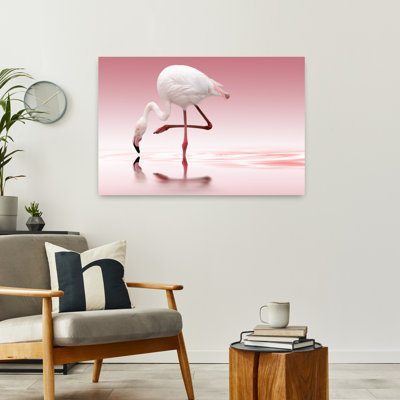 Flamant rose, réflexion, délicat, oiseau moderne, flamant, faune, art mural