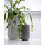Handmade Glass Table Vase-2130445716-2130445723