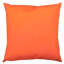 Indoor / Outdoor Square Scatter Cushion