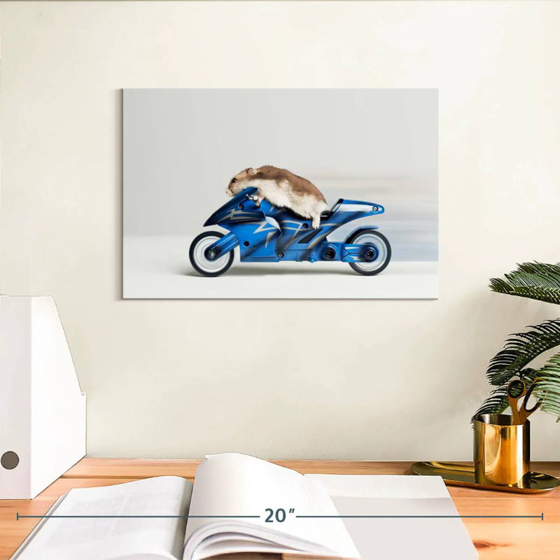 Hamster Ketti sur une moto jouet, H 8 po x l 12 po