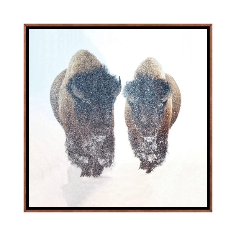 Two Bison In A Snow Storm by OLena Art - Floater Frame Print on Canvas, 45.72 cm H x 45.72 cm W, Brown Floater Framed