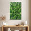 Plante grasse Harnek-108667467