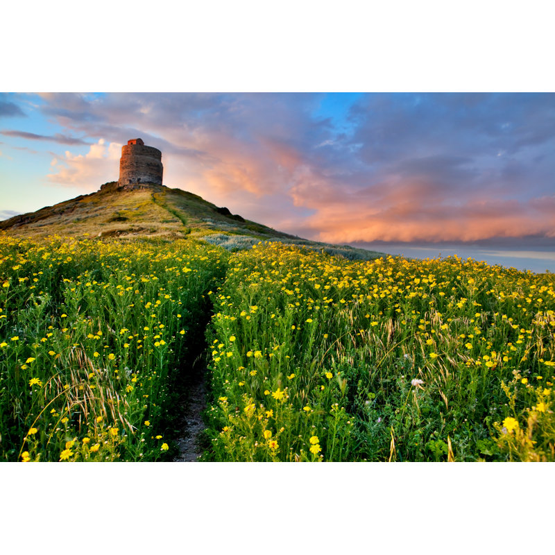 Spring Flower Field by Kikkerdirk - Wrapped Canvas Print, 20cm H x 30cm W